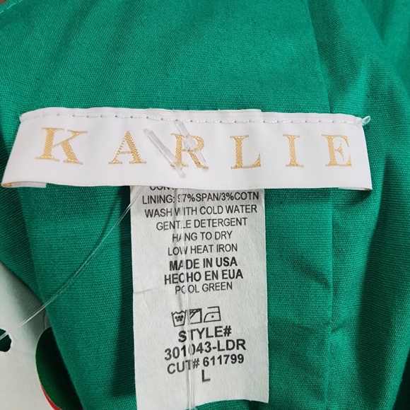 KARLIE Puff Sleeve Mesh Detailed Mini Dress (L) - Picture 7 of 10